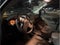 2019 Nissan Frontier SV Pickup 4D 5 ft